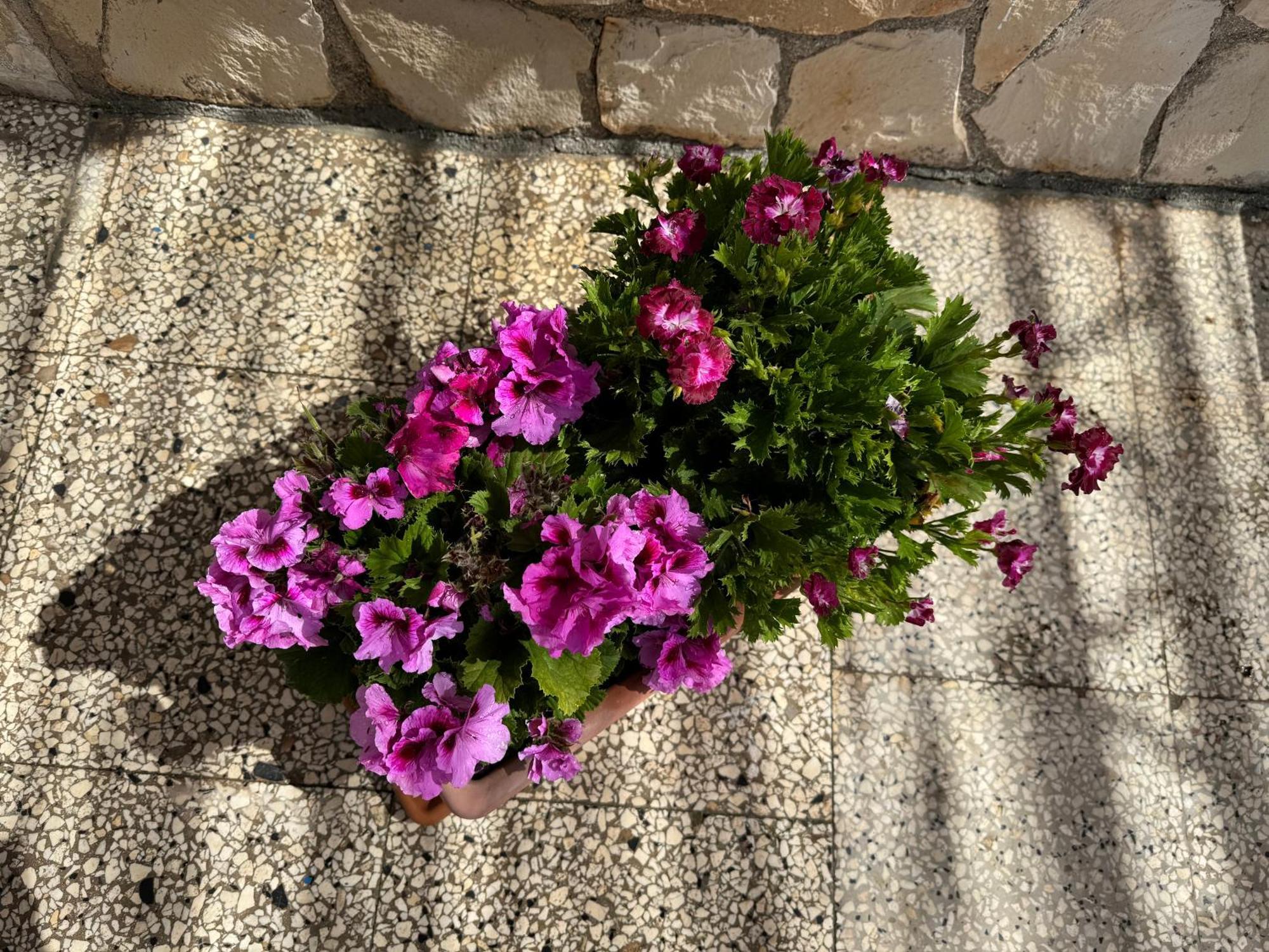 Bed and Breakfast Mare Chiaro Torre Vado Esterno foto
