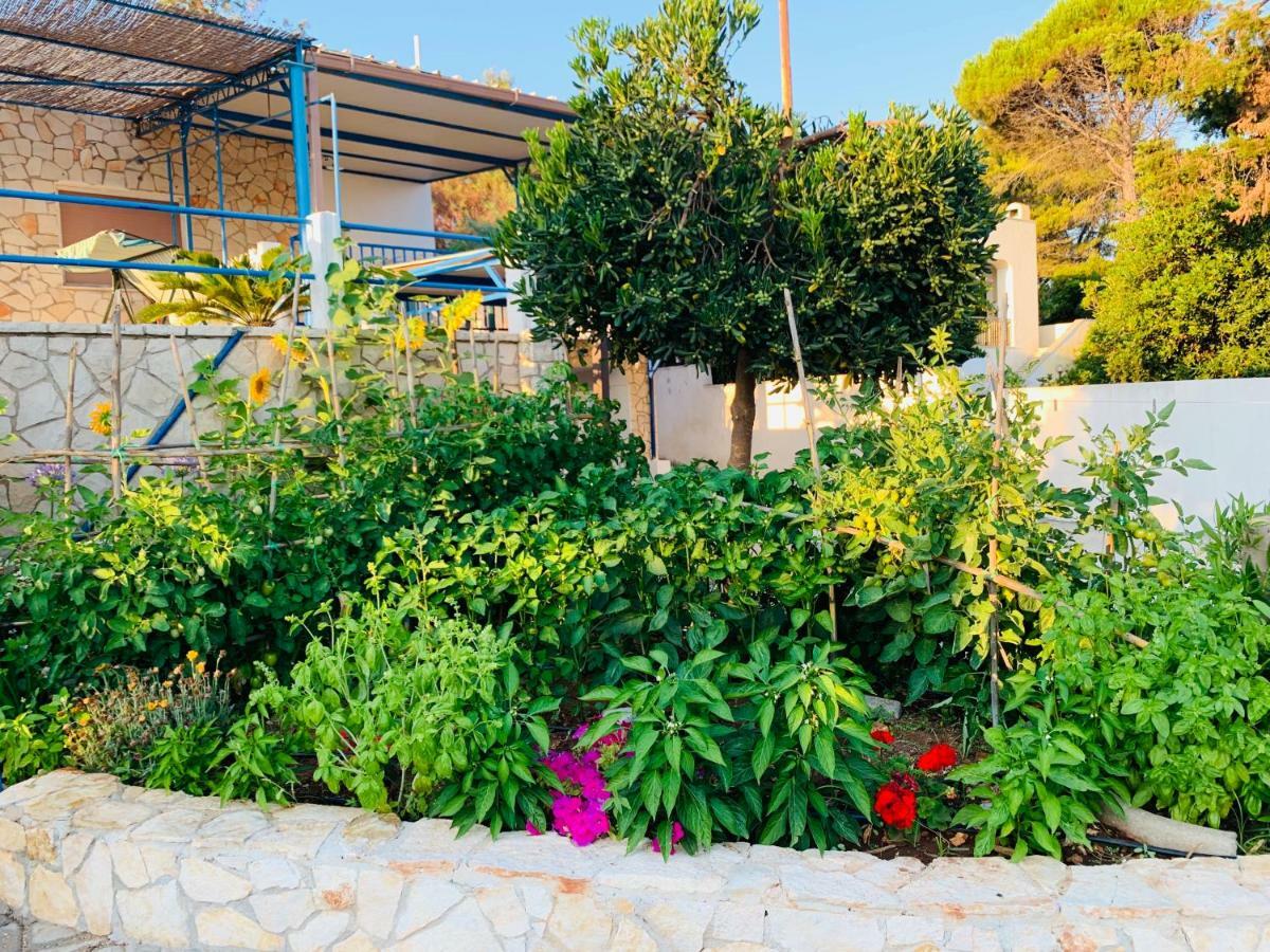 Bed and Breakfast Mare Chiaro Torre Vado Esterno foto